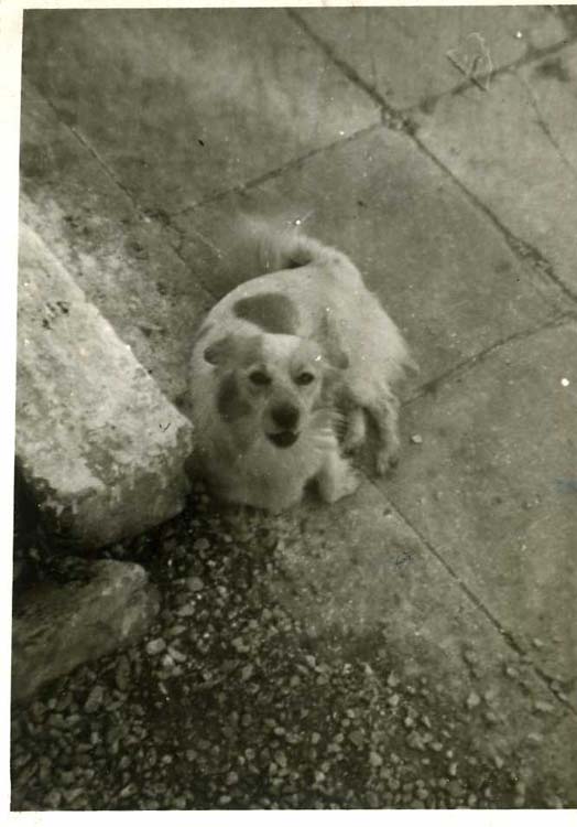 here he is again under my window Clifty 1949